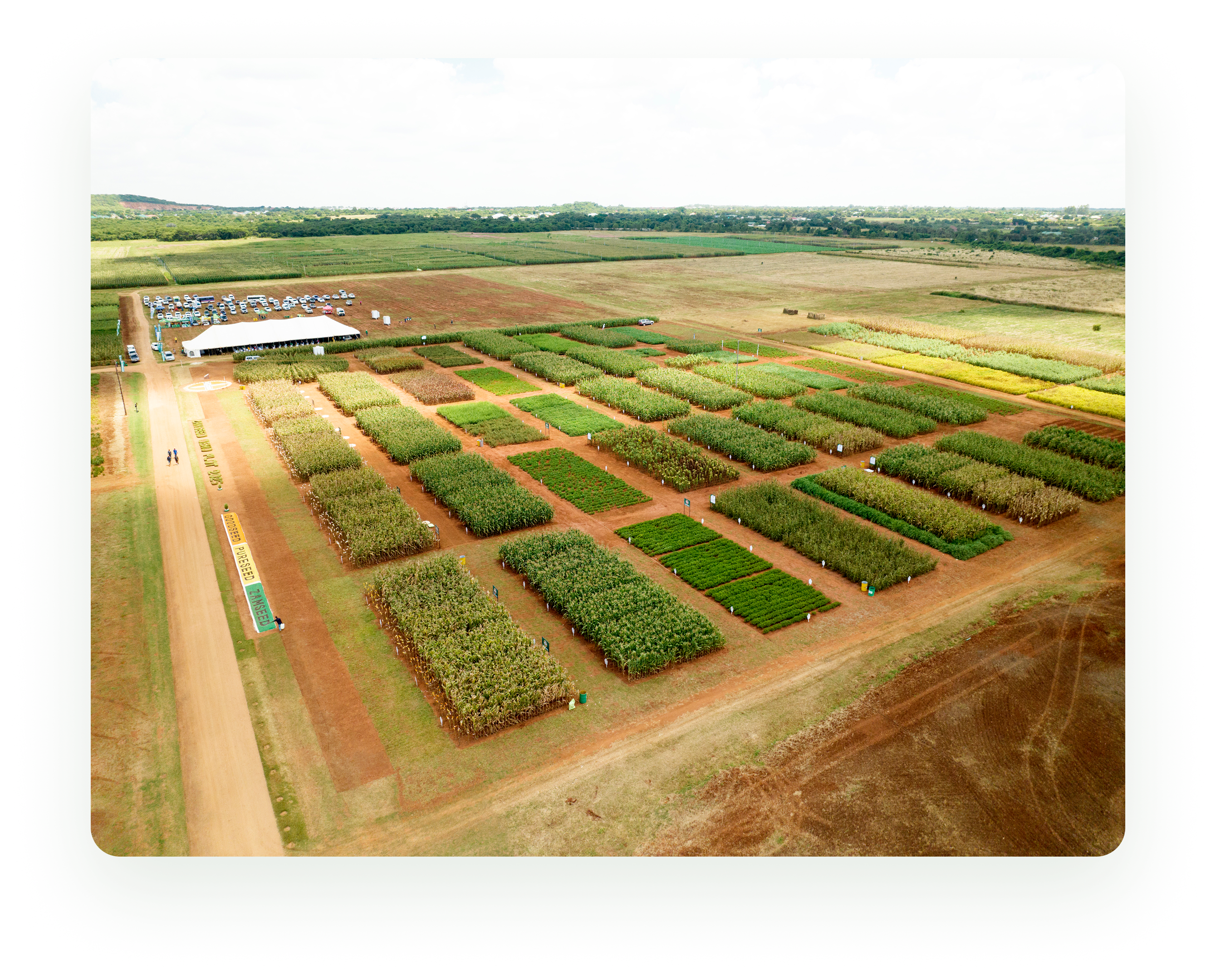 Chiawa — our most
important breeding field.