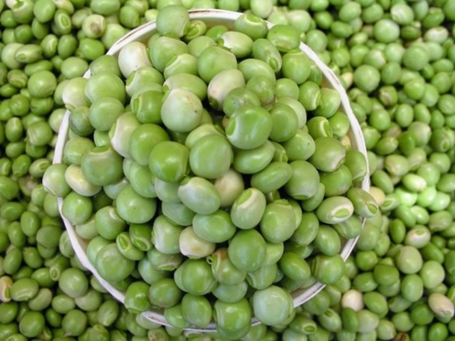 Hans pigeon pea variety source image