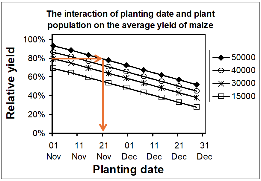 Line chart showing relative maize yield falling as planting date moves from early November to late December, at plant populations of 15,000, 30,000, 40,000 and 50,000 plants per hectare.