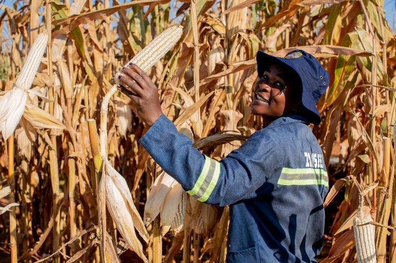 Built in Zambia, Tested in the Field.