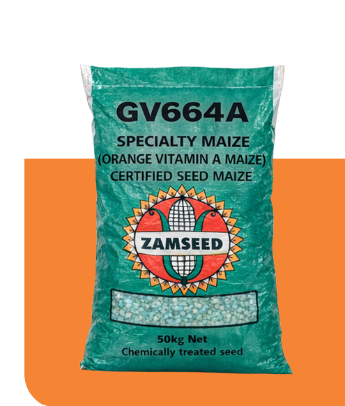 GV 664A certified seed maize bag