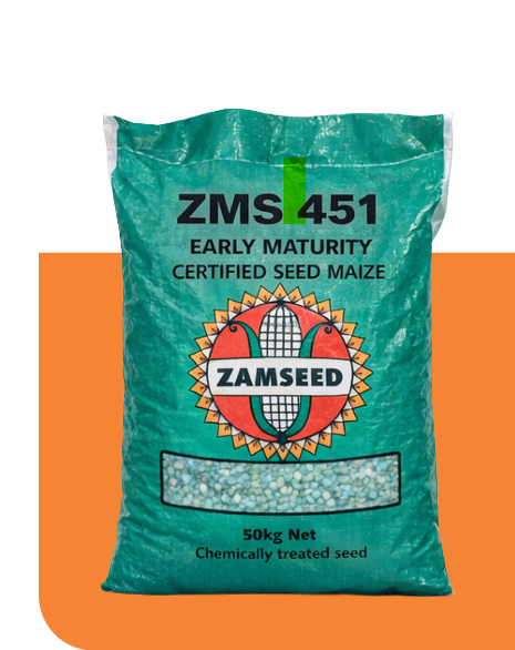 ZMS 451 certified seed maize bag